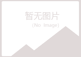 阿城冰夏计算机有限公司